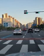 법률행위반사회성